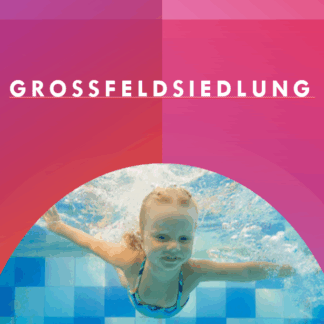 Großfeldsiedlung (1210)